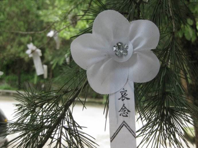 青山绿水慰师魂——忆马洪高老师（张法民）