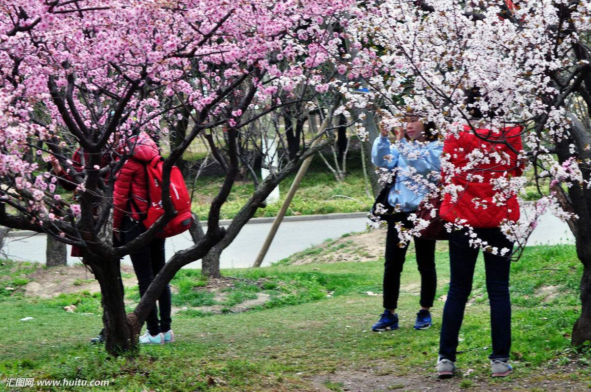 苇叶：桃源放歌十二章并序