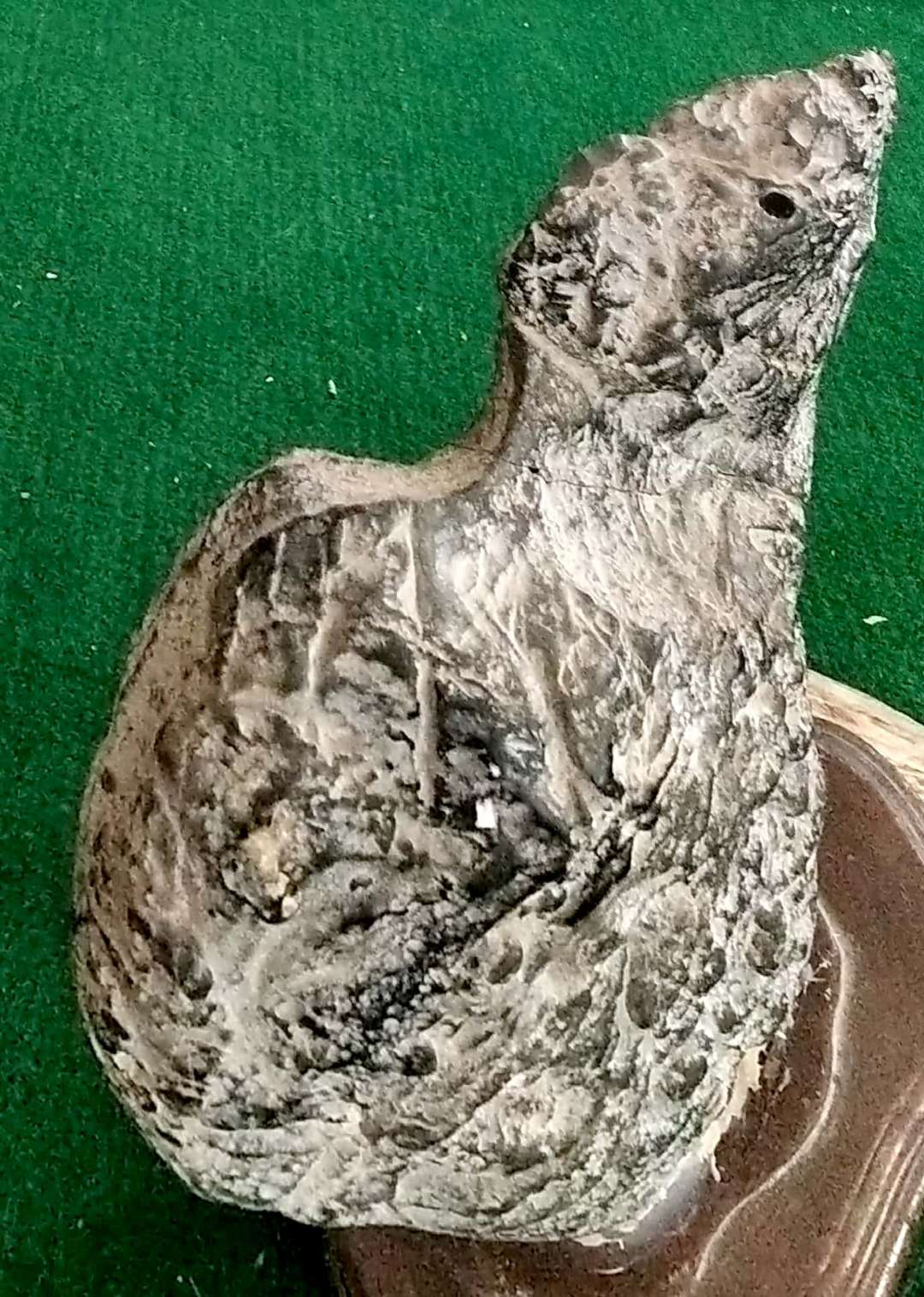 磨石奇遇  续  (黄兴洲)