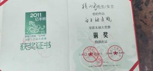 能人——杨丙飞 （黄兴洲）
