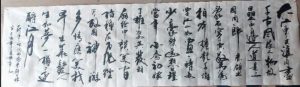 能人——杨丙飞 （黄兴洲）