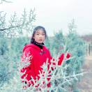 浪漫经典专业婚礼摄影