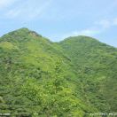 张传峰
