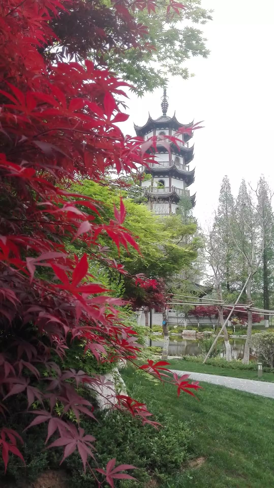 冬日的憧憬——李良甫诗五首