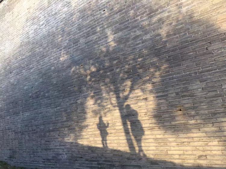 《我娘是个疯子》----令无数人泪奔......