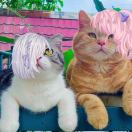 Kagebousi