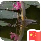 断欲