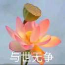 凡事随缘