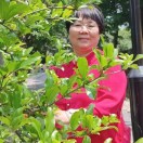 永远长青