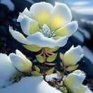 天山雪莲《周元侠》