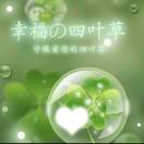 心雨