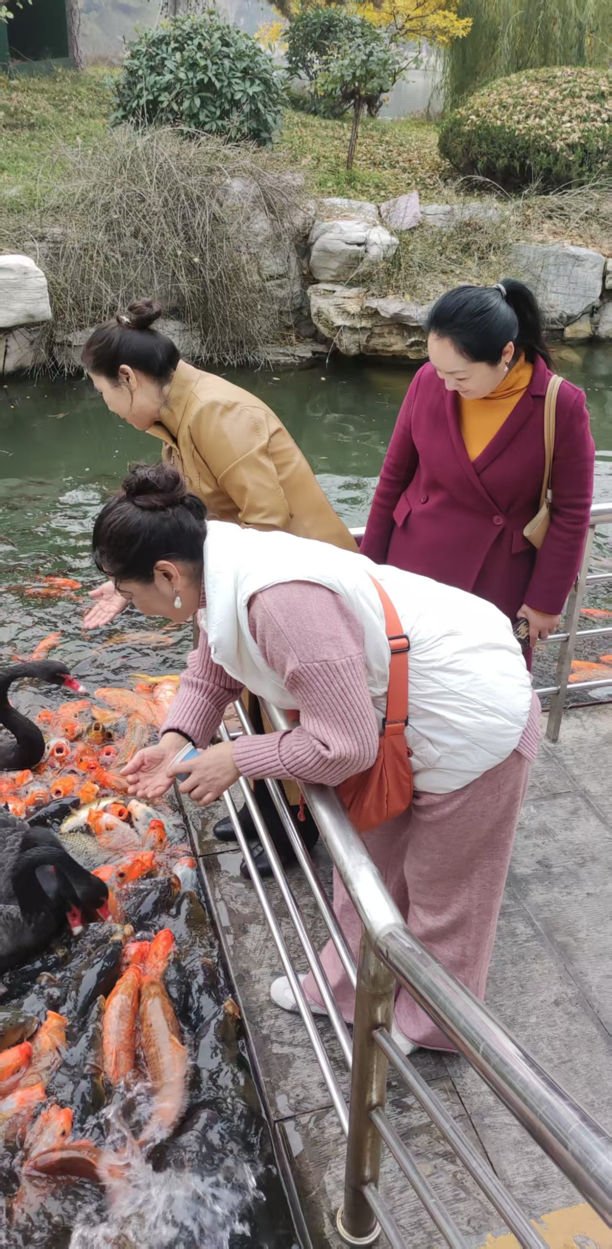 蓬莱，邳州“”诗词八仙”来啦