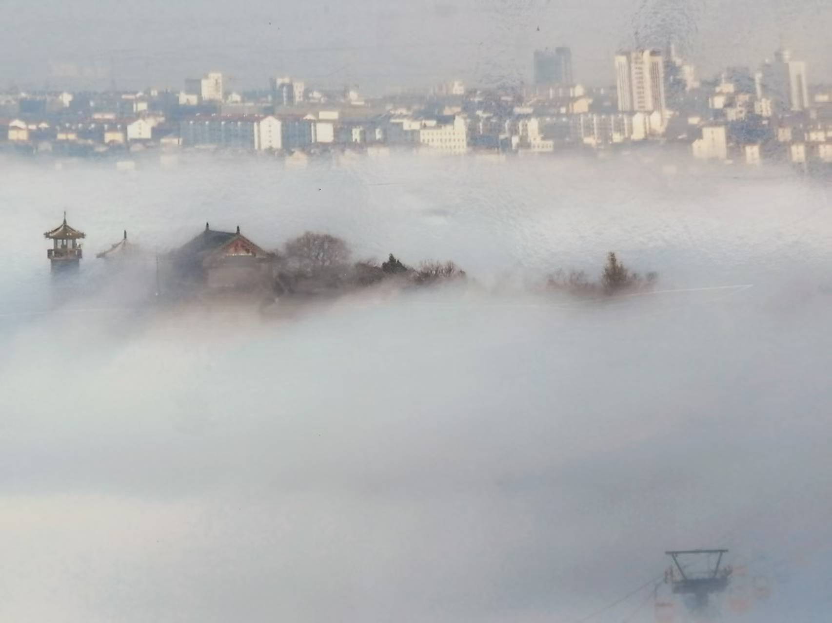 蓬莱，邳州“”诗词八仙”来啦