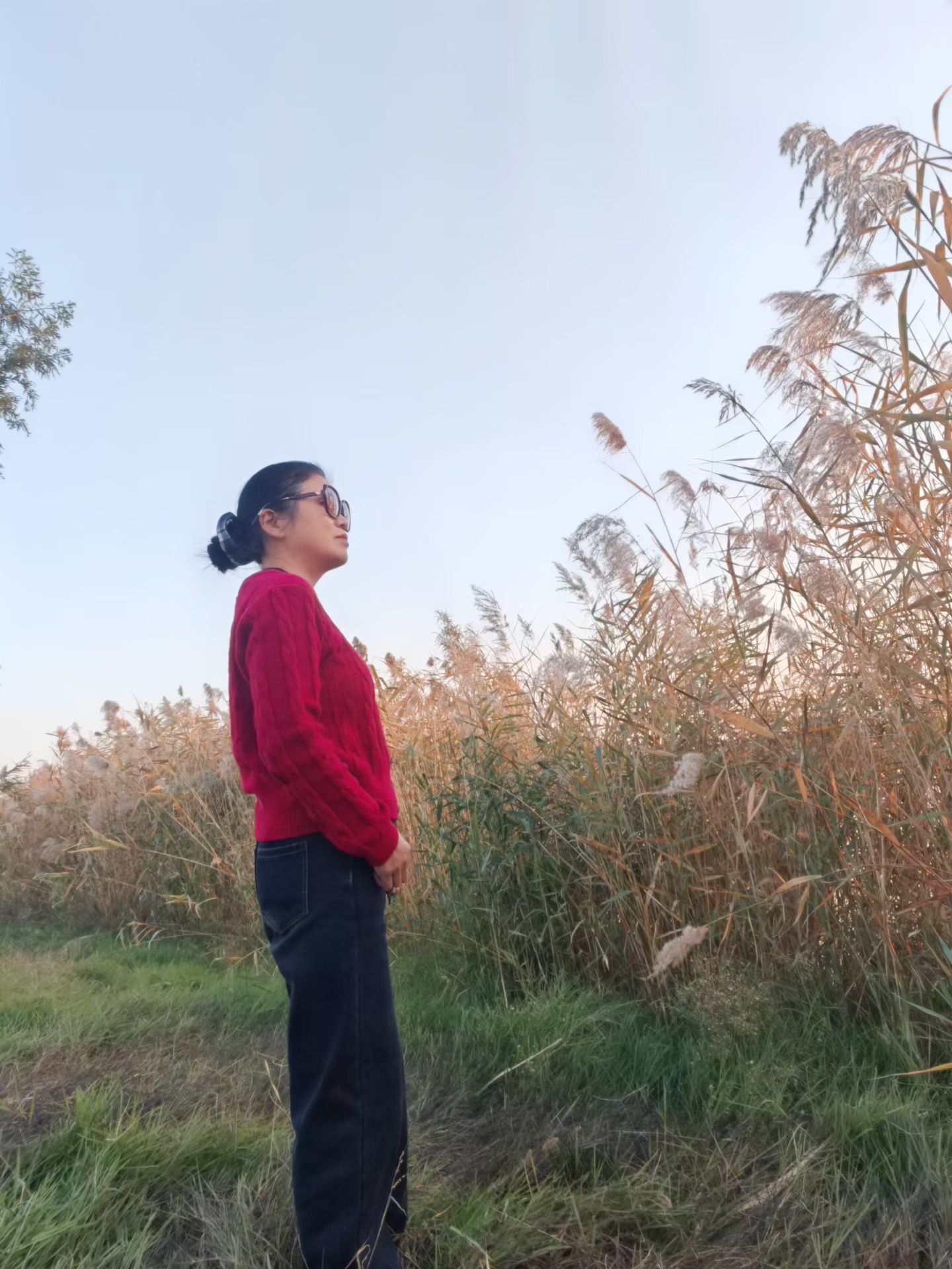 芦苇（外一首）