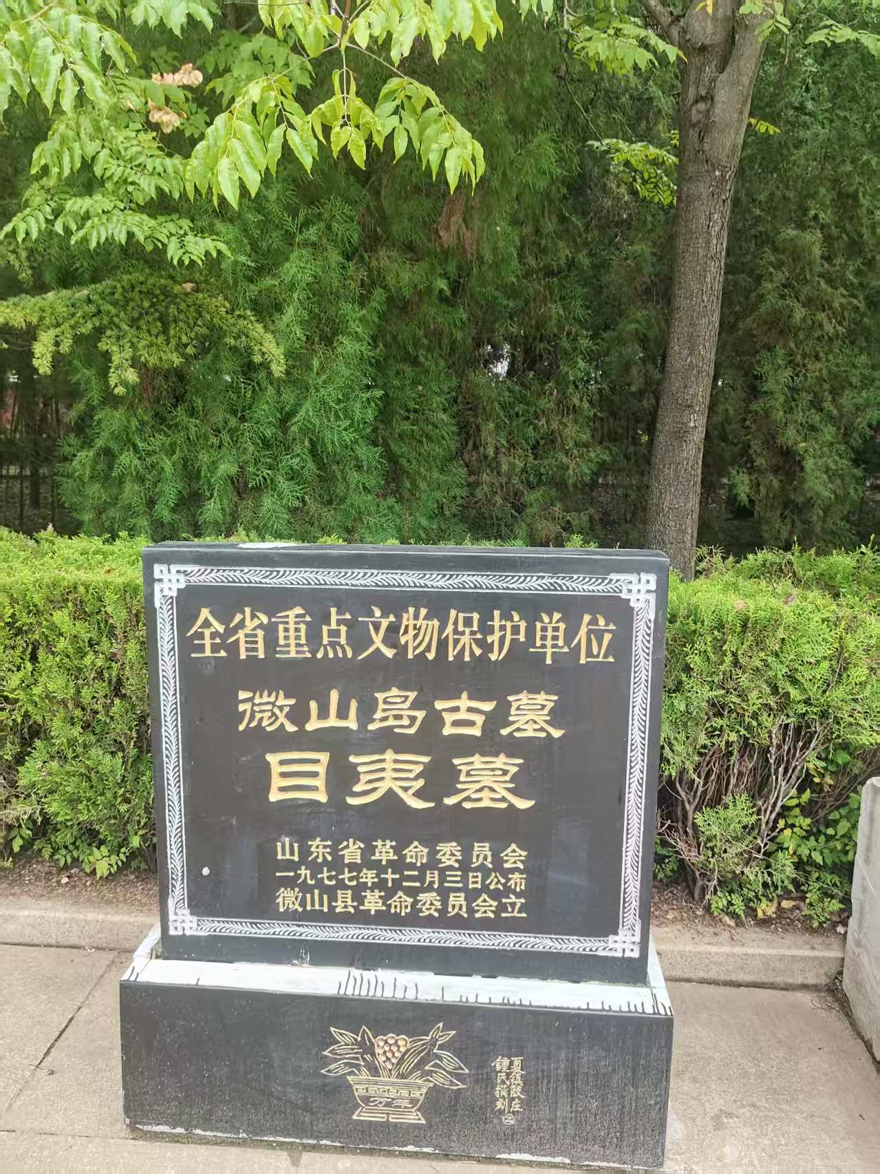 游京杭大运河济宁段（五）