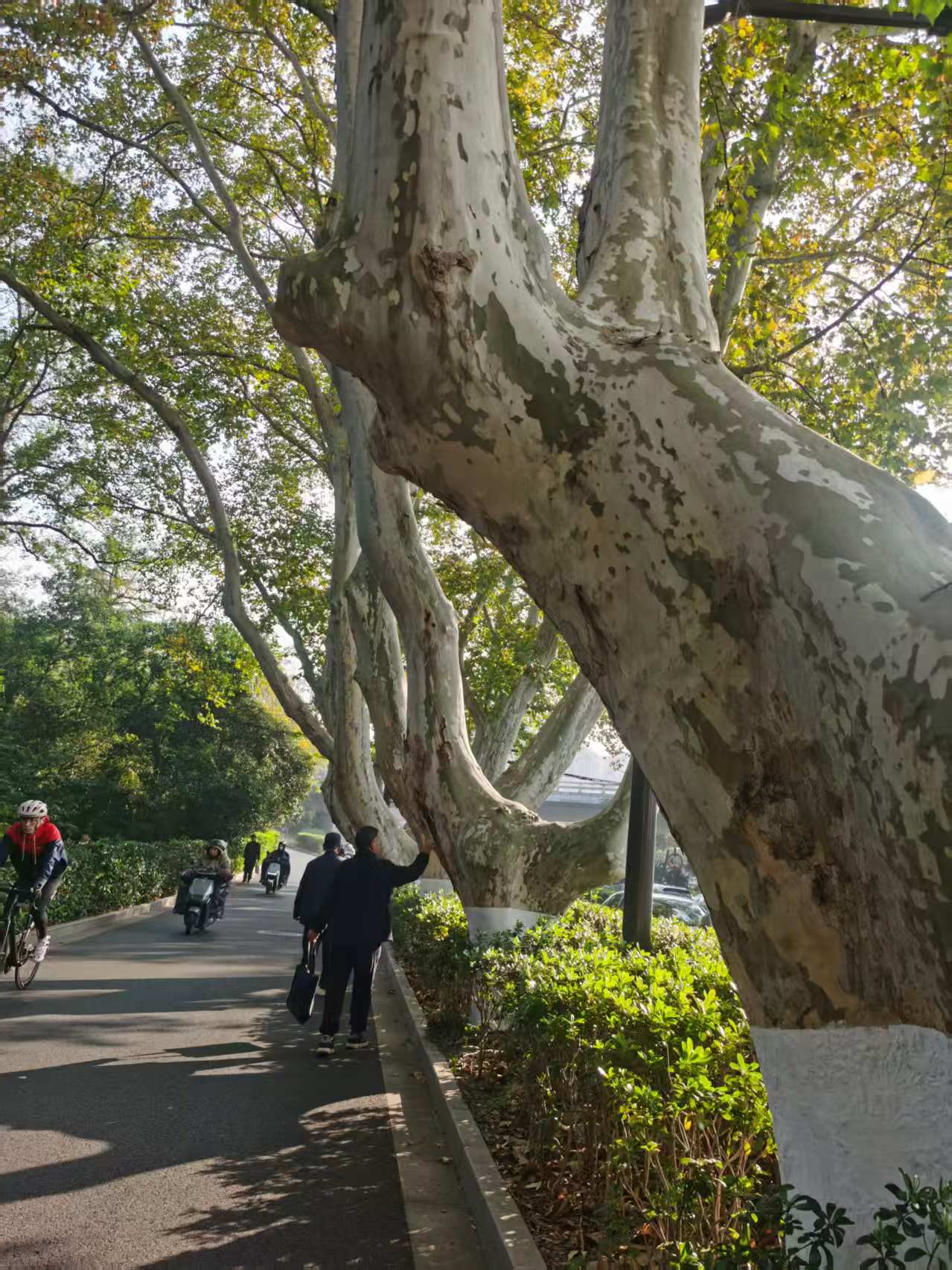 启程去南京兄弟相聚