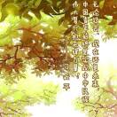 中国人寿 戴永东的头像