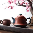 一盏清茶的头像