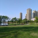 春风的头像