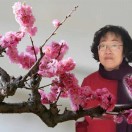 沧海一粟的头像